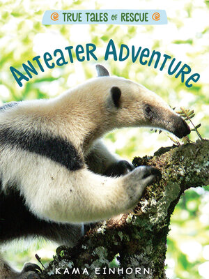 cover image of Anteater Adventure